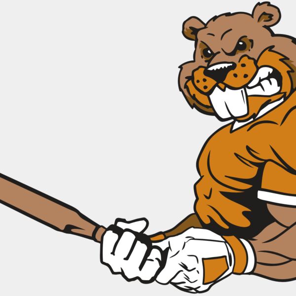 AR4 BEAVER 05 RQC Thumbnail