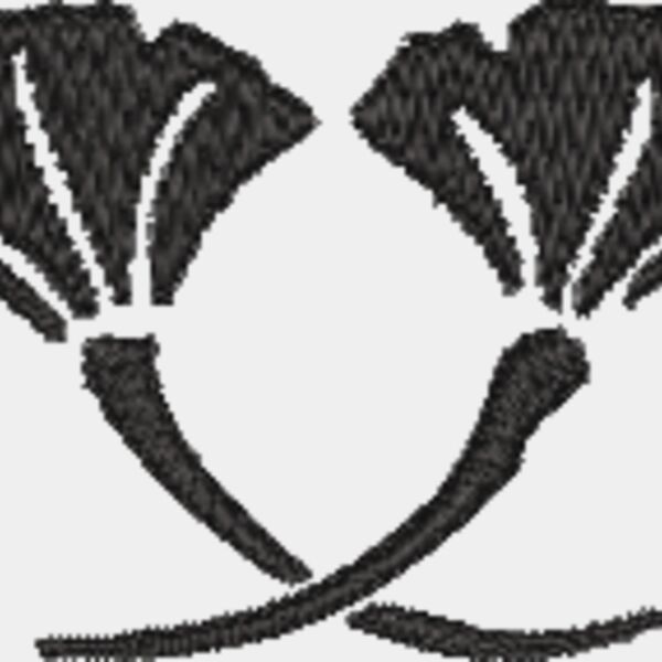 NZ541 Thumbnail