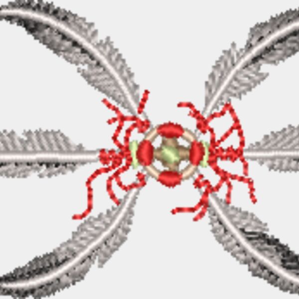 WO062 Thumbnail
