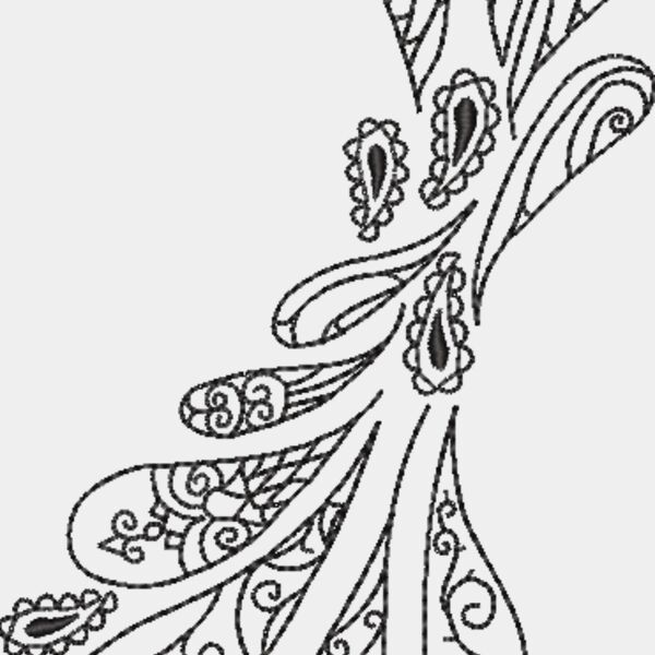 NB256 48 Thumbnail