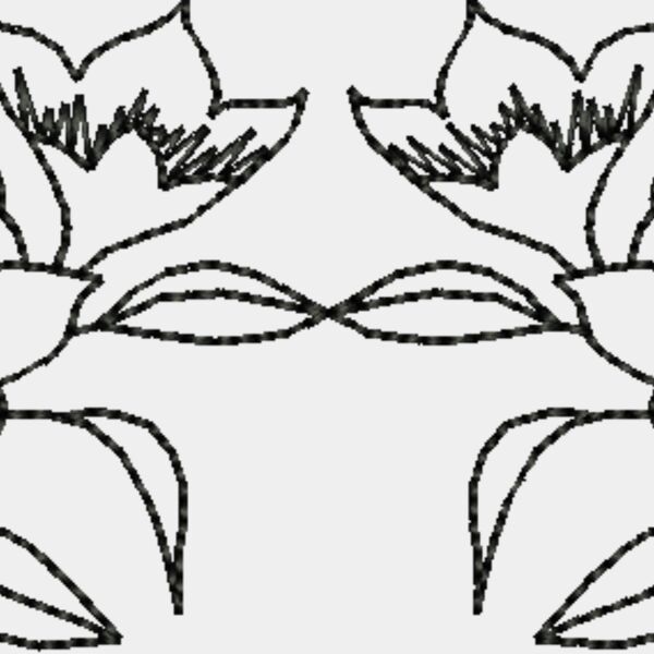 Nx969 Thumbnail