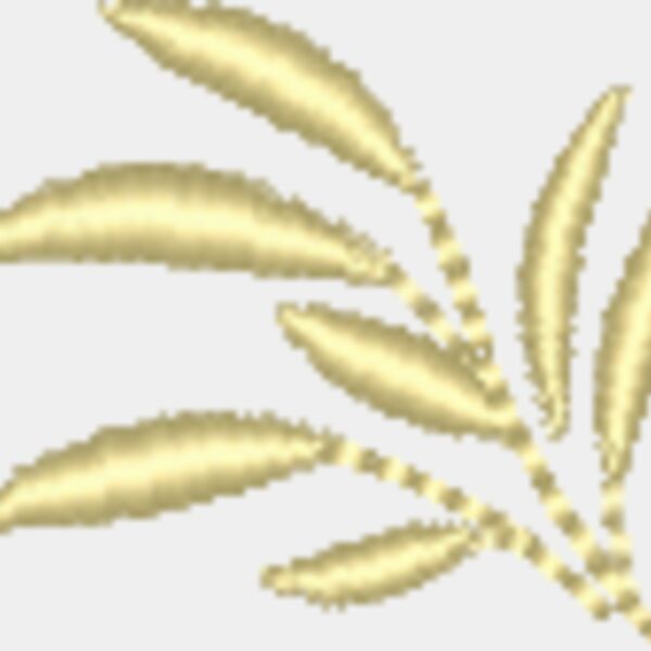 NZ815 Thumbnail