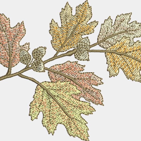 FM467 Thumbnail