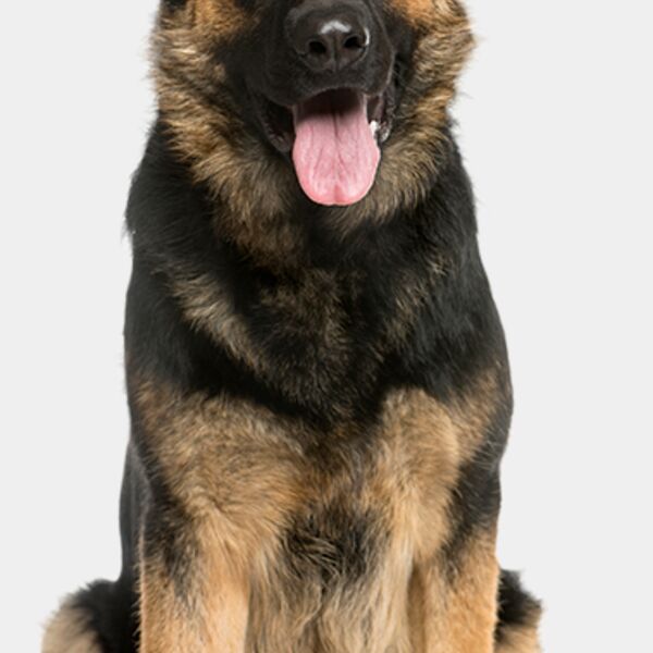 pngaaa com 2510966 Thumbnail